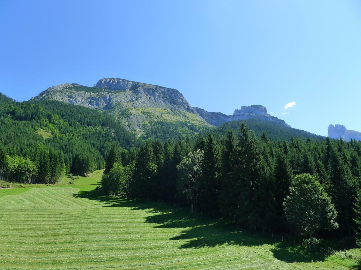 Alpenhaus Dachstein.Zauber Apartment Abtenau Ngoại thất bức ảnh