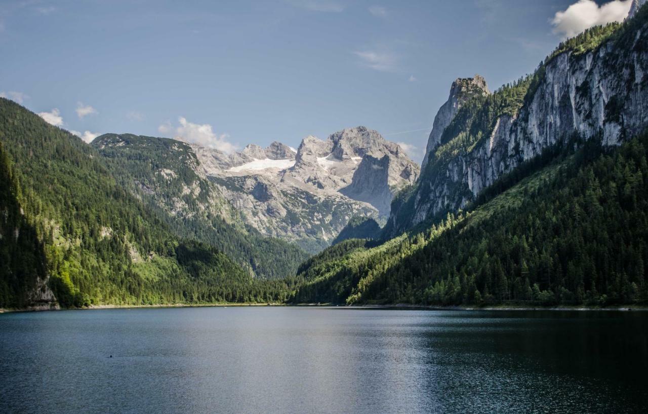 Alpenhaus Dachstein.Zauber Apartment Abtenau Ngoại thất bức ảnh