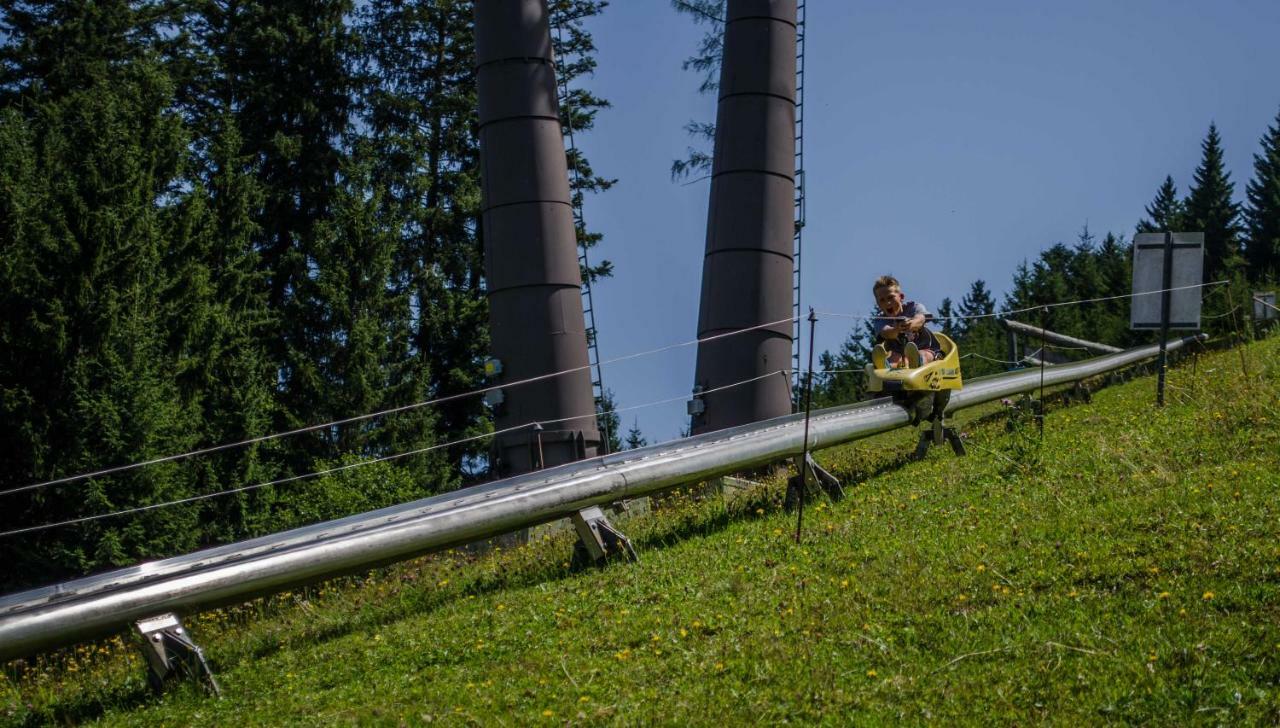 Alpenhaus Dachstein.Zauber Apartment Abtenau Ngoại thất bức ảnh