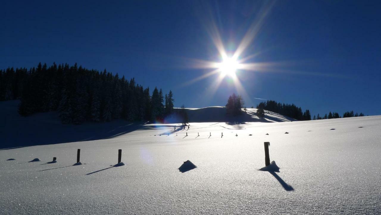 Alpenhaus Dachstein.Zauber Apartment Abtenau Ngoại thất bức ảnh