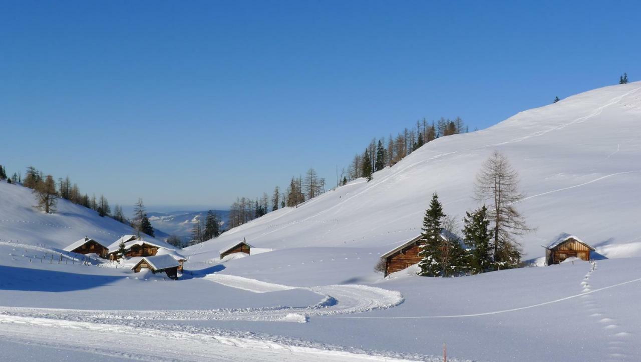 Alpenhaus Dachstein.Zauber Apartment Abtenau Ngoại thất bức ảnh