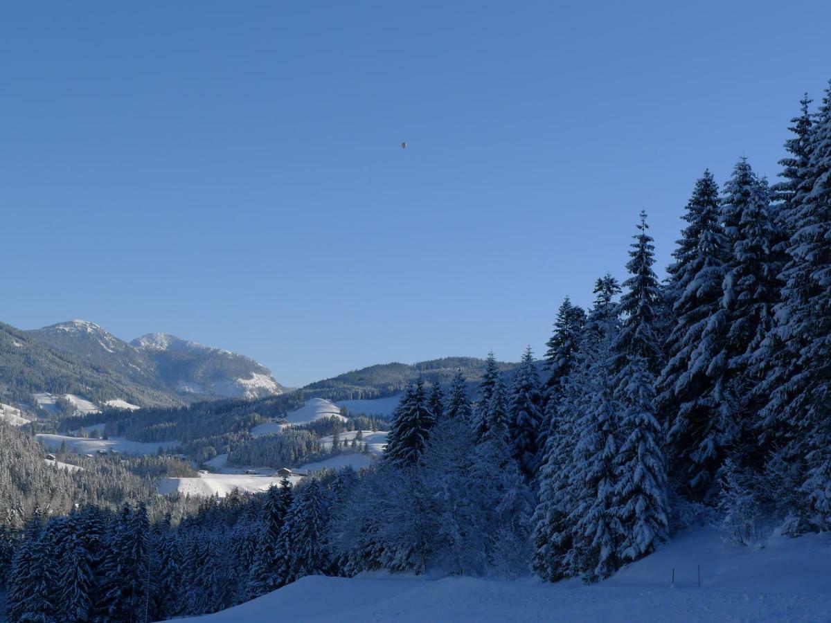 Alpenhaus Dachstein.Zauber Apartment Abtenau Ngoại thất bức ảnh