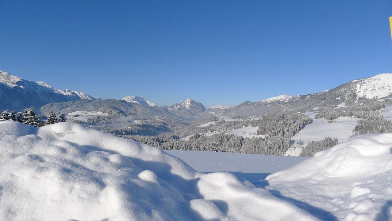 Alpenhaus Dachstein.Zauber Apartment Abtenau Ngoại thất bức ảnh